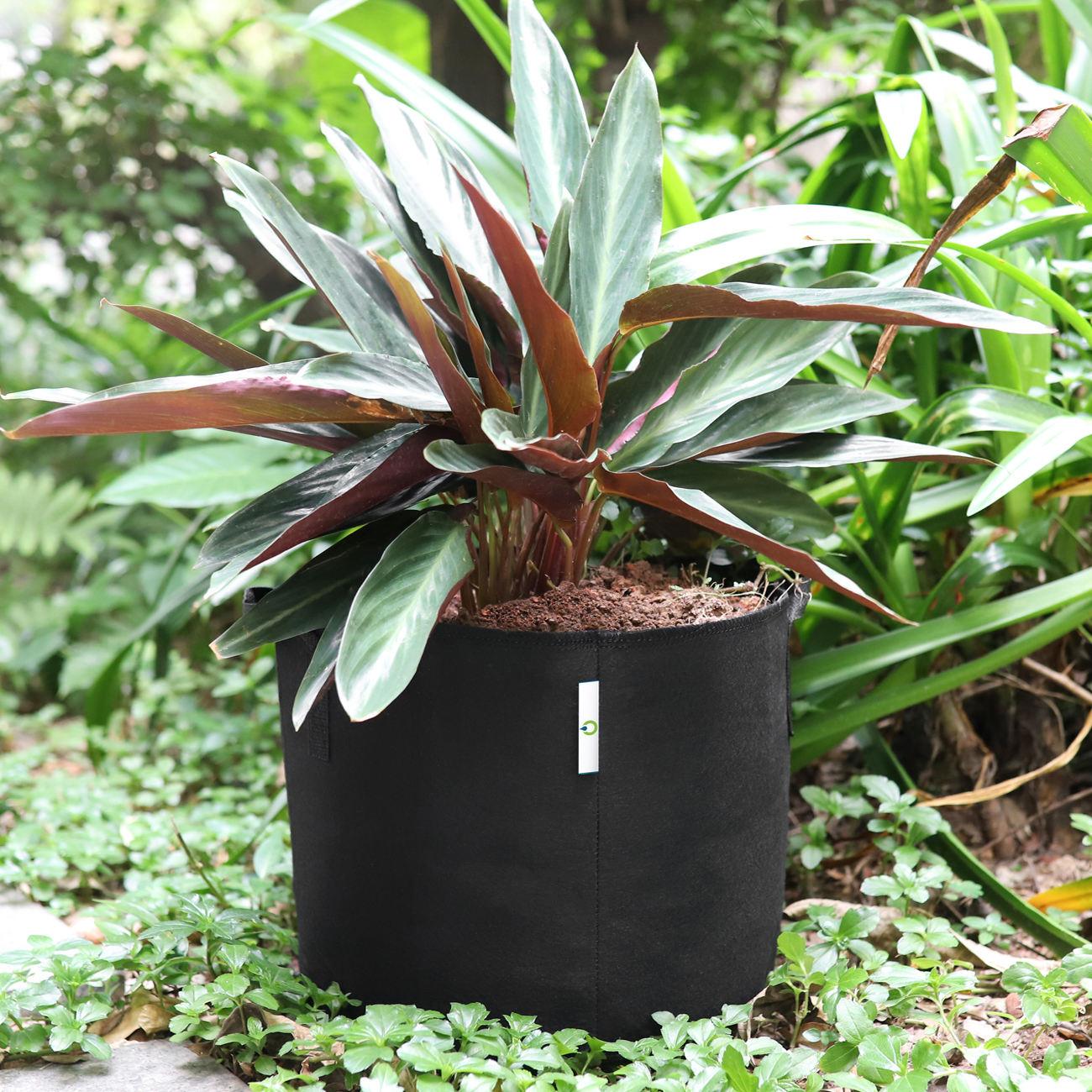 植物种植袋产品拍摄(图7)
